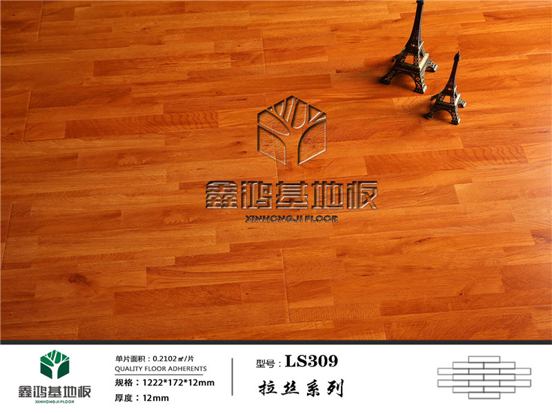 LS309_副本.jpg
