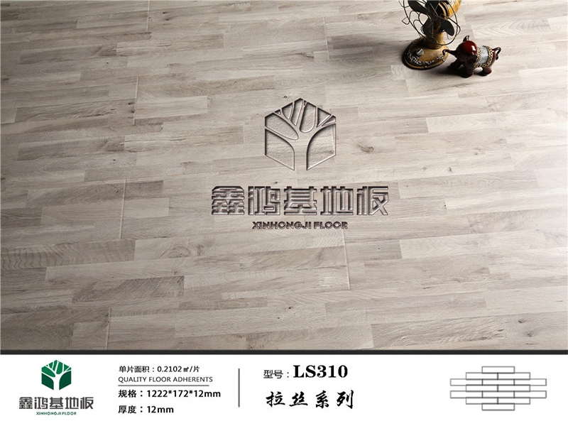 LS310_副本.jpg